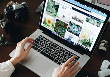 Expert-Solution-Customizable-Design